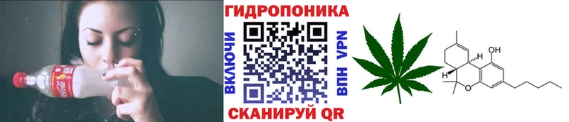 Бошки марихуана планчик  Томск 