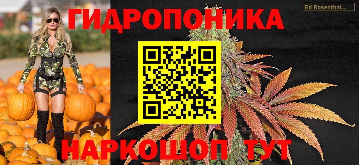Бошки марихуана гибрид  Бошки марихуана семена  Бошки марихуана сатива  Томск  Вход с VPN 